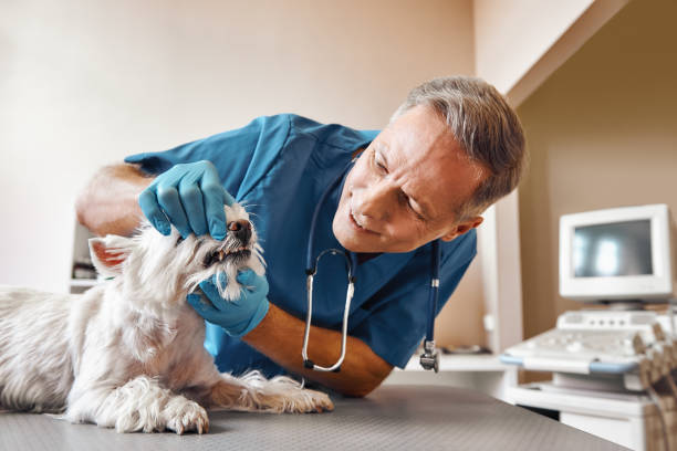Best Emergency Denture Repair in Robinson, TX