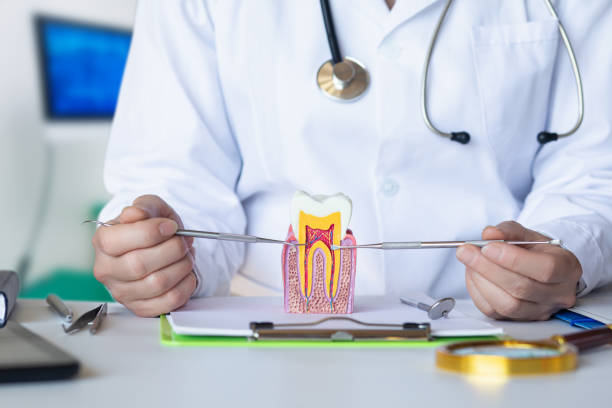 Best Urgent Dental Care for Toothaches in Robinson, TX